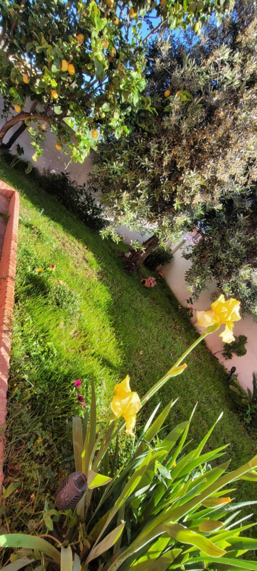 Kokky'S Home Su Forti Dış mekan fotoğraf