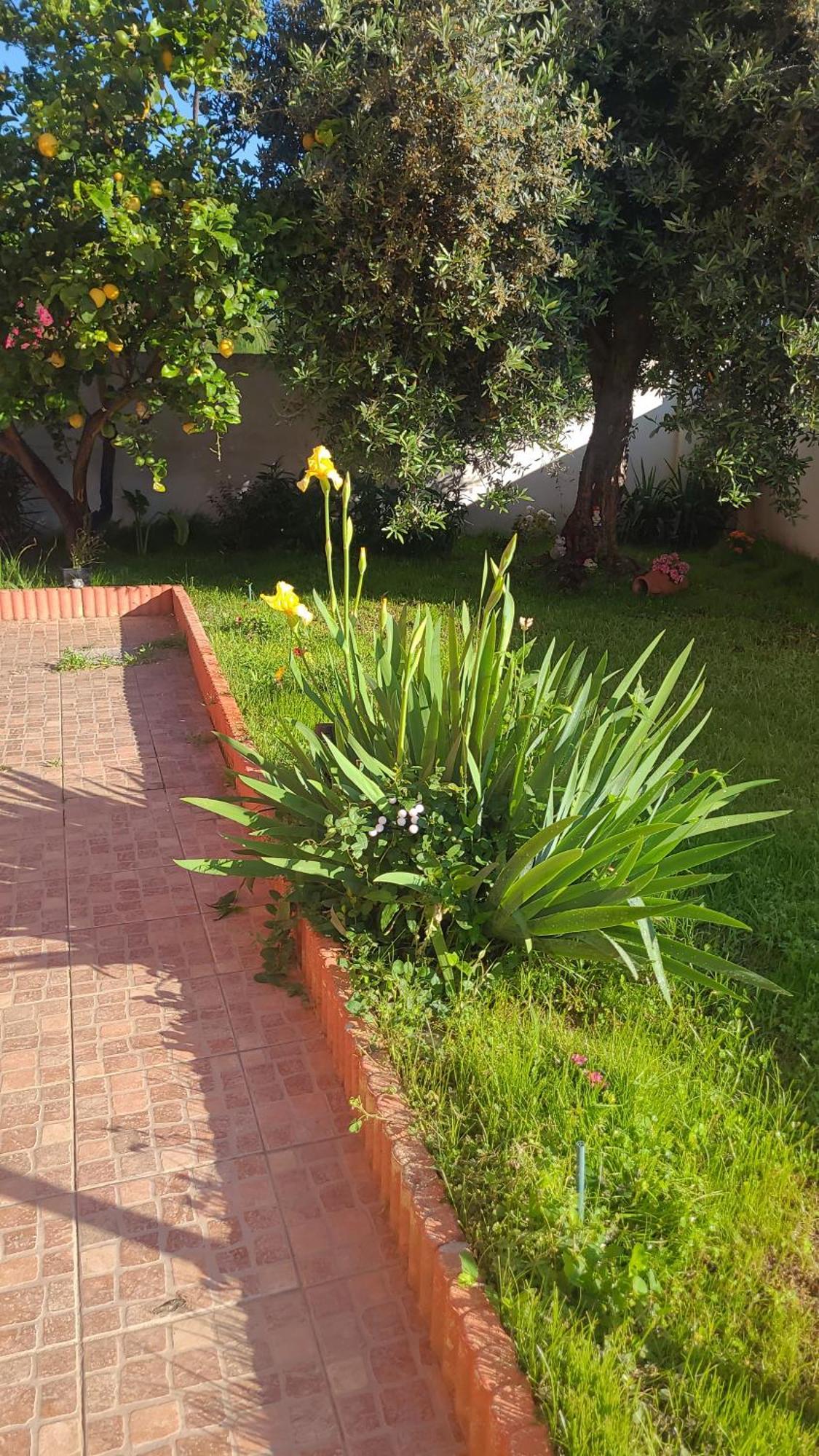 Kokky'S Home Su Forti Dış mekan fotoğraf